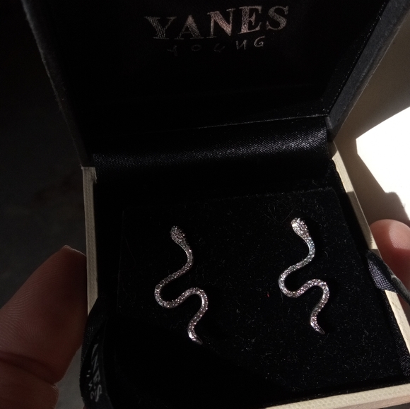 Elegant Silver Plated Cubic Zirconia Snake Earrings - Picture 12 of 14